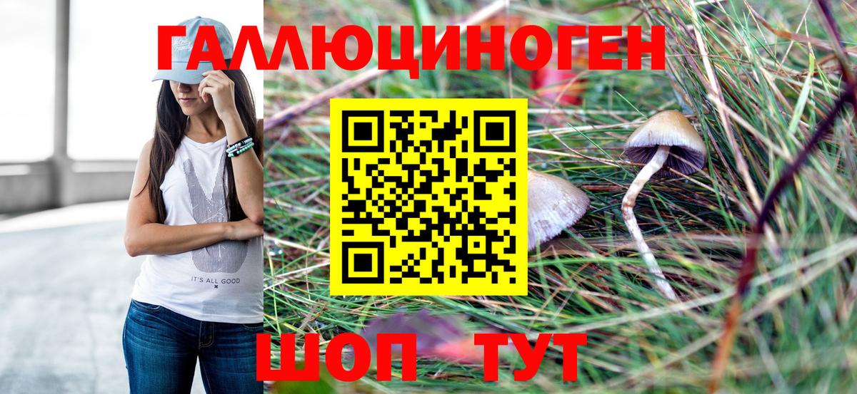 Галлюциногенные грибы Magic Shrooms Кохма